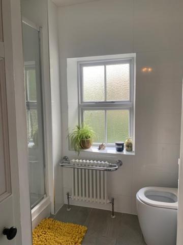Dolgellau Townhouse 2 Minutes To Town & Mountains Villa Eksteriør billede